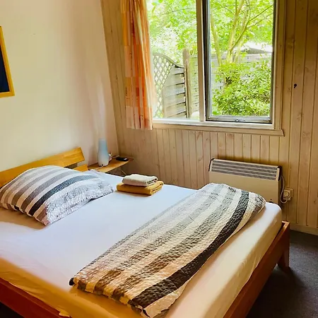 Prázdninový dům Extertal-ferienpark - Premium Sonnental - Sauna #50