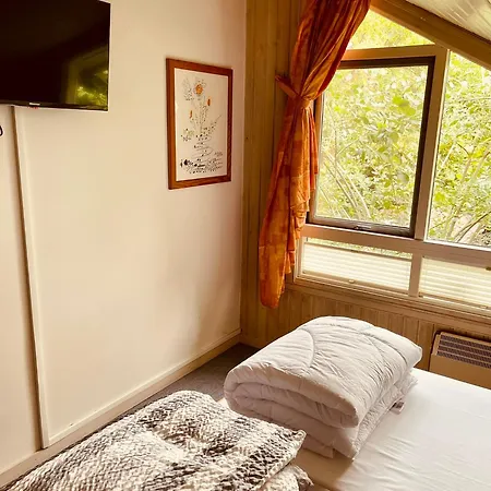 Prázdninový dům Extertal-ferienpark - Premium Sonnental - Sauna #50