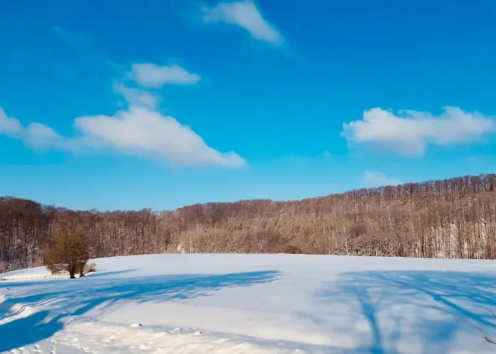 Extertal-ferienpark - Premium Sonnental - Sauna #50 Extertal